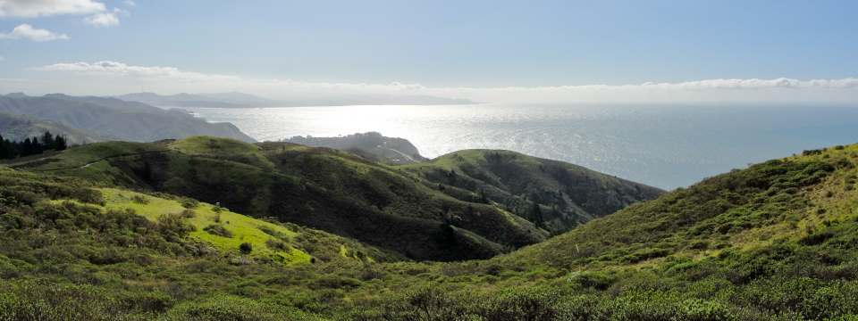 Mt. Tamalpais